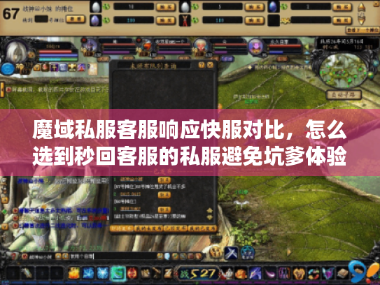 魔域私服客服响应快服对比，怎么选到秒回客服的私服避免坑爹体验？