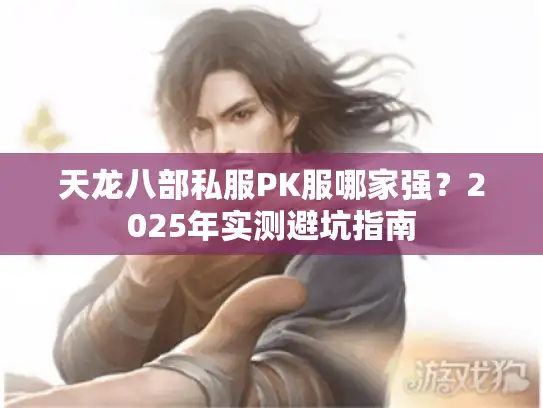 天龙八部私服PK服哪家强?2025年实测避坑指南 天龙八部私服PK服哪家强?2025年实测避坑指南