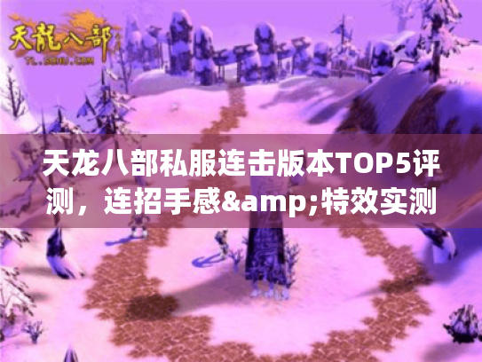 天龙八部私服连击版本TOP5评测,连招手感&特效实测报告 天龙八部私服连击版本TOP5评测,连招手感&特效实测报告