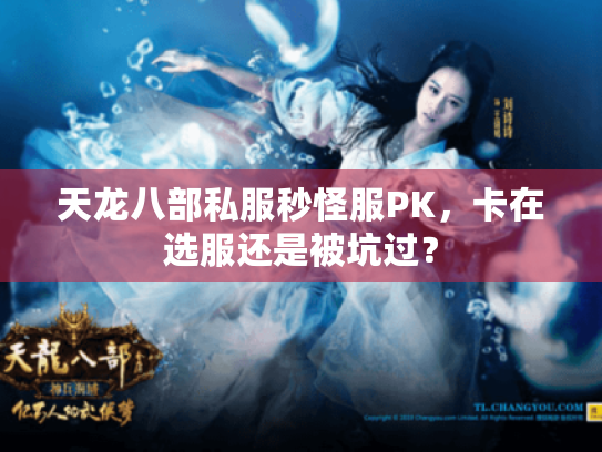 天龙八部私服秒怪服PK,卡在选服还是被坑过? 天龙八部私服秒怪服PK,卡在选服还是被坑过?
