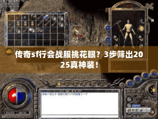 传奇sf行会战服挑花眼?3步筛出2025真神装! 传奇sf行会战服挑花眼?3步筛出2025真神装!
