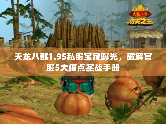 天龙八部1.95私服宝藏曝光，破解官服5大痛点实战手册