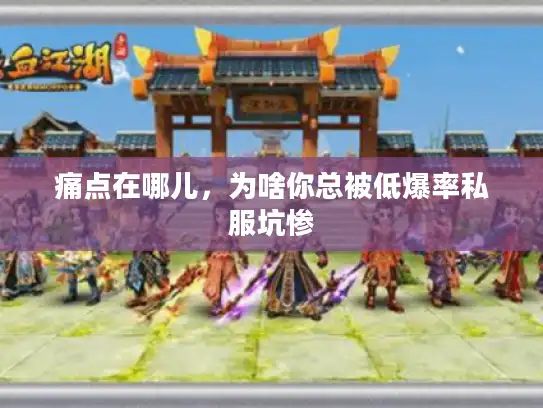 痛点在哪儿，为啥你总被低爆率私服坑惨