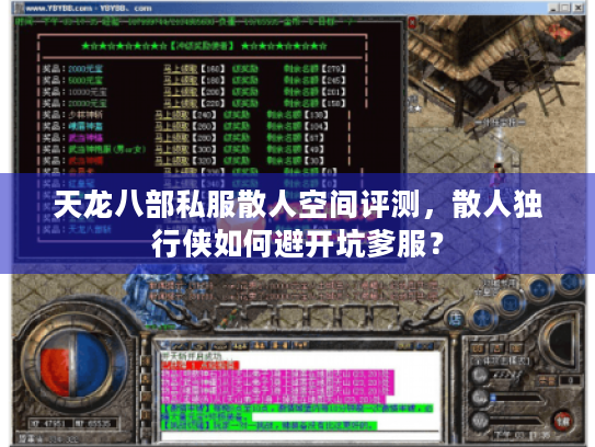 天龙八部私服散人空间评测,散人独行侠如何避开坑爹服? 天龙八部私服散人空间评测,散人独行侠如何避开坑爹服?