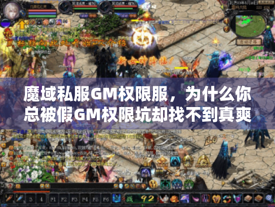 魔域私服GM权限服，为什么你总被假GM权限坑却找不到真爽服？