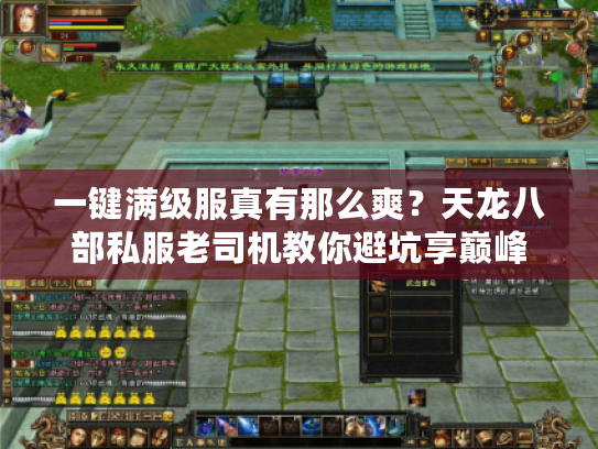 一键满级服真有那么爽?天龙八部私服老司机教你避坑享巅峰 一键满级服真有那么爽?天龙八部私服老司机教你避坑享巅峰