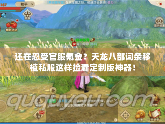 还在忍受官服氪金?天龙八部词条移植私服这样捡漏定制版神器! 还在忍受官服氪金?天龙八部词条移植私服这样捡漏定制版神器!