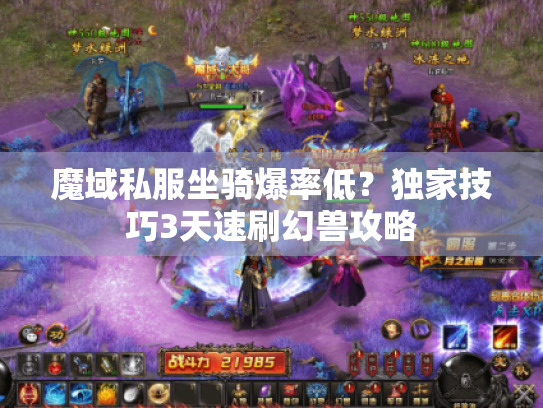 魔域私服坐骑爆率低？独家技巧3天速刷幻兽攻略