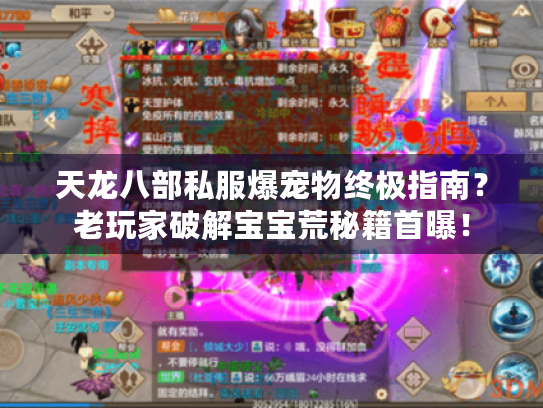 天龙八部私服爆宠物终极指南?老玩家破解宝宝荒秘籍首曝! 天龙八部私服爆宠物终极指南?老玩家破解宝宝荒秘籍首曝!