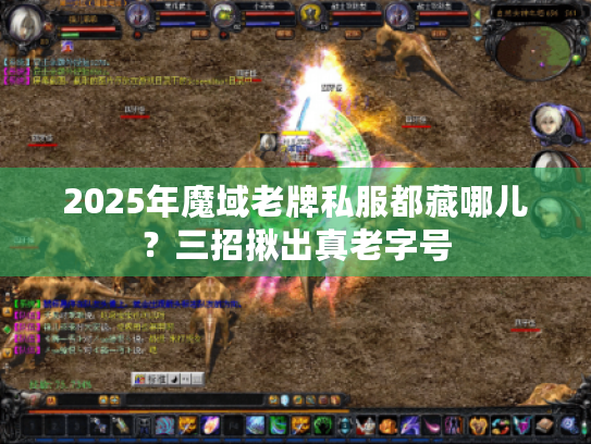 2025年魔域老牌私服都藏哪儿?三招揪出真老字号 2025年魔域老牌私服都藏哪儿?三招揪出真老字号