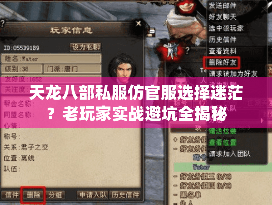 天龙八部私服仿官服选择迷茫?老玩家实战避坑全揭秘 天龙八部私服仿官服选择迷茫?老玩家实战避坑全揭秘