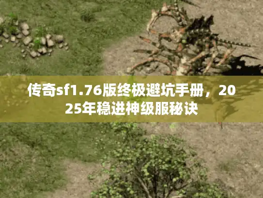 传奇sf1.76版终极避坑手册，2025年稳进神级服秘诀