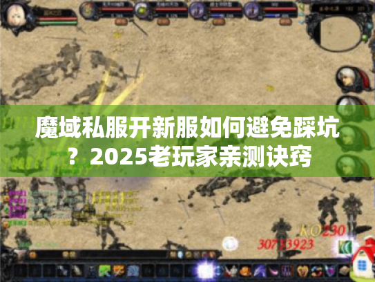 魔域私服开新服如何避免踩坑?2025老玩家亲测诀窍 魔域私服开新服如何避免踩坑?2025老玩家亲测诀窍