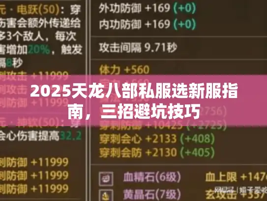 2025天龙八部私服选新服指南,三招避坑技巧 2025天龙八部私服选新服指南,三招避坑技巧