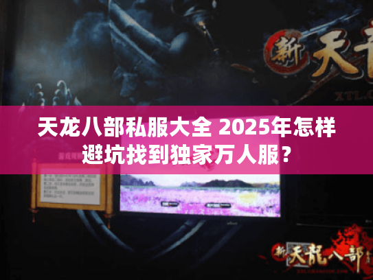 天龙八部私服大全 2025年怎样避坑找到独家万人服？