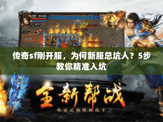 传奇sf刚开服，为何新服总坑人？5步教你精准入坑