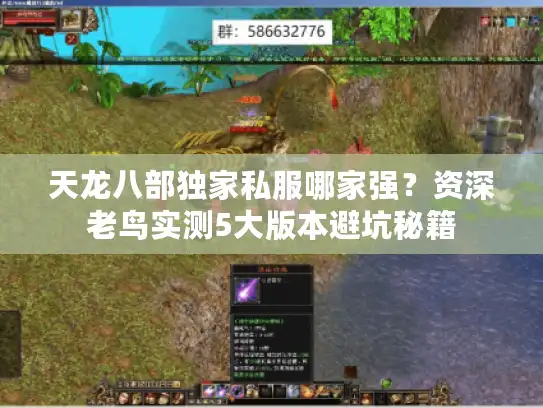 天龙八部独家私服哪家强？资深老鸟实测5大版本避坑秘籍