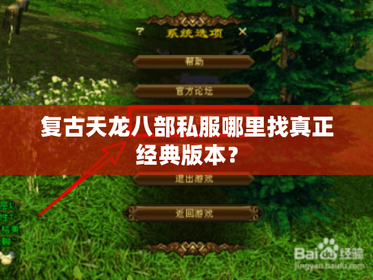 复古天龙八部私服哪里找真正经典版本？