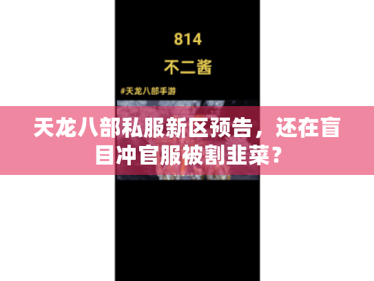 天龙八部私服新区预告，还在盲目冲官服被割韭菜？