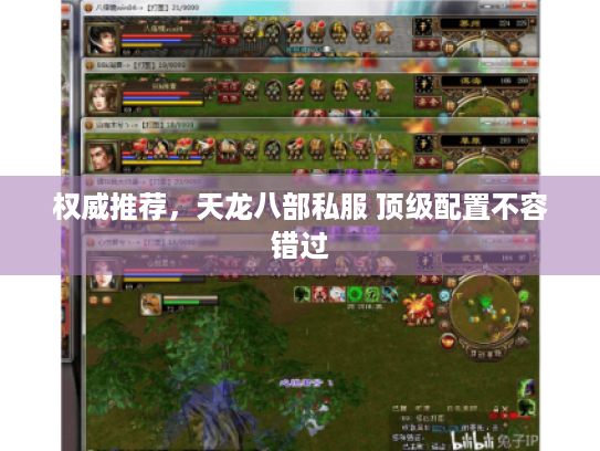 权威推荐，天龙八部私服 顶级配置不容错过