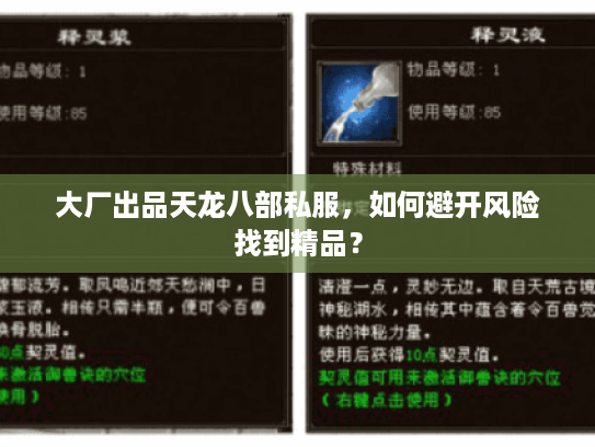 大厂出品天龙八部私服,如何避开风险找到精品? 大厂出品天龙八部私服,如何避开风险找到精品?