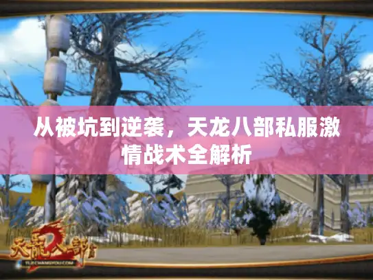 从被坑到逆袭,天龙八部私服激情战术全解析 从被坑到逆袭,天龙八部私服激情战术全解析