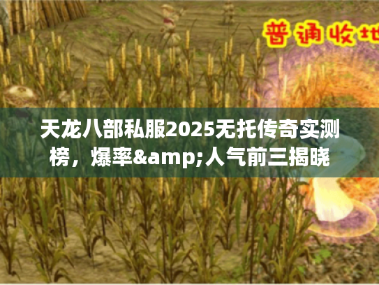天龙八部私服2025无托传奇实测榜,爆率&人气前三揭晓 天龙八部私服2025无托传奇实测榜,爆率&人气前三揭晓