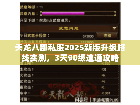 天龙八部私服2025新版升级路线实测,3天90级速通攻略 天龙八部私服2025新版升级路线实测,3天90级速通攻略