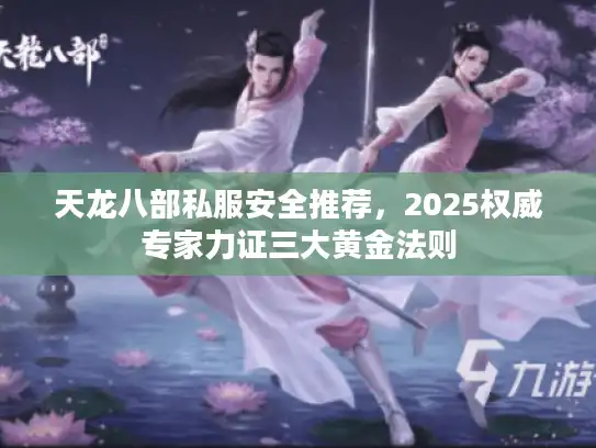 天龙八部私服安全推荐，2025权威专家力证三大黄金法则
