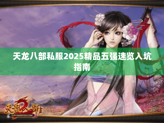 天龙八部私服2025精品五强速览入坑指南
