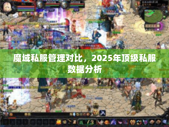 魔域私服管理对比,2025年顶级私服数据分析 魔域私服管理对比,2025年顶级私服数据分析