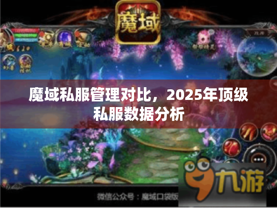 魔域私服管理对比,2025年顶级私服数据分析 魔域私服管理对比,2025年顶级私服数据分析