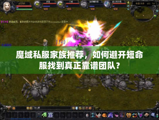 魔域私服家族推荐,如何避开短命服找到真正靠谱团队? 魔域私服家族推荐,如何避开短命服找到真正靠谱团队?