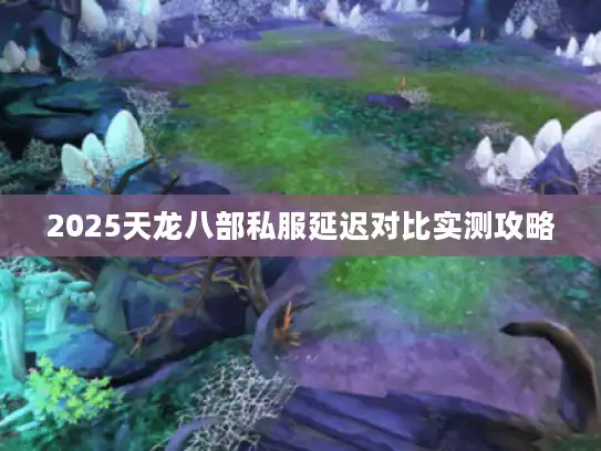 2025天龙八部私服延迟对比实测攻略