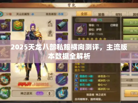 2025天龙八部私服横向测评，主流版本数据全解析