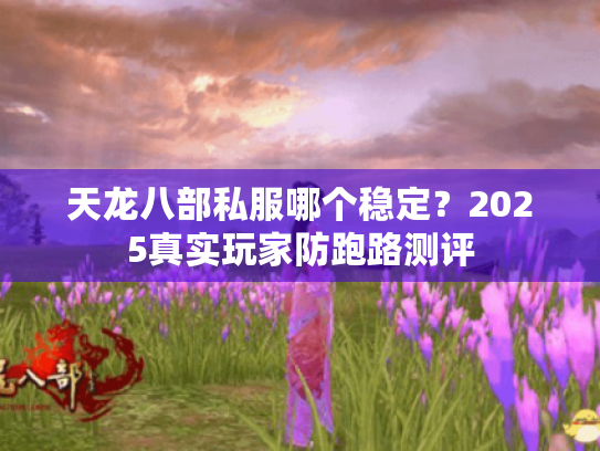 天龙八部私服哪个稳定?2025真实玩家防跑路测评 天龙八部私服哪个稳定?2025真实玩家防跑路测评