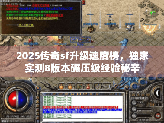 2025传奇sf升级速度榜,独家实测8版本碾压级经验秘辛 2025传奇sf升级速度榜,独家实测8版本碾压级经验秘辛