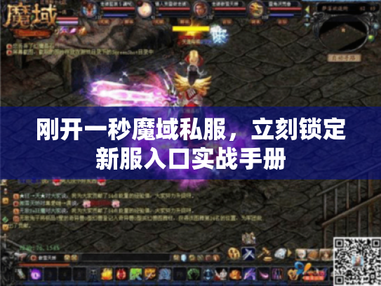 刚开一秒魔域私服,立刻锁定新服入口实战手册 刚开一秒魔域私服,立刻锁定新服入口实战手册