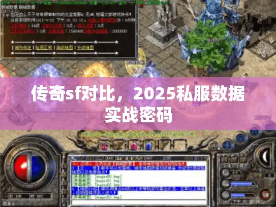 传奇sf对比,2025私服数据实战密码 传奇sf对比,2025私服数据实战密码