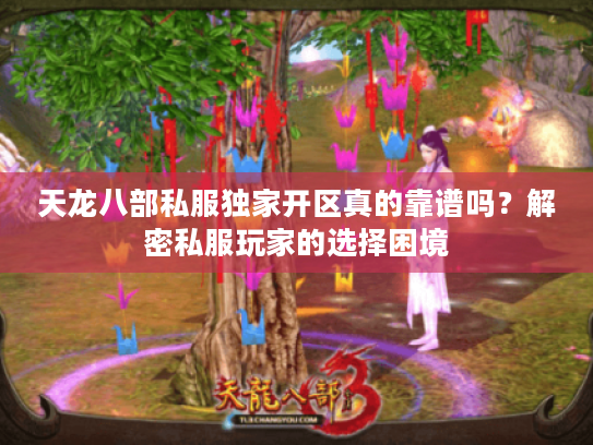 天龙八部私服独家开区真的靠谱吗?解密私服玩家的选择困境 天龙八部私服独家开区真的靠谱吗?解密私服玩家的选择困境