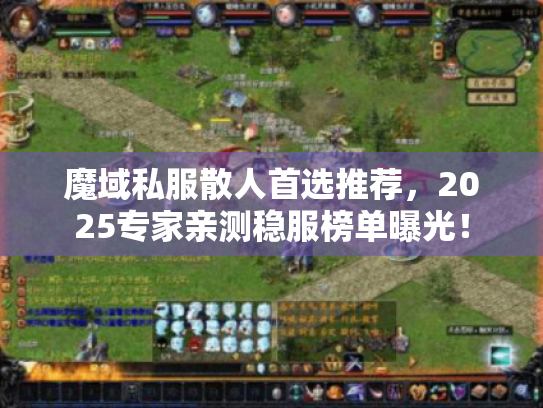 魔域私服散人首选推荐,2025专家亲测稳服榜单曝光! 魔域私服散人首选推荐,2025专家亲测稳服榜单曝光!
