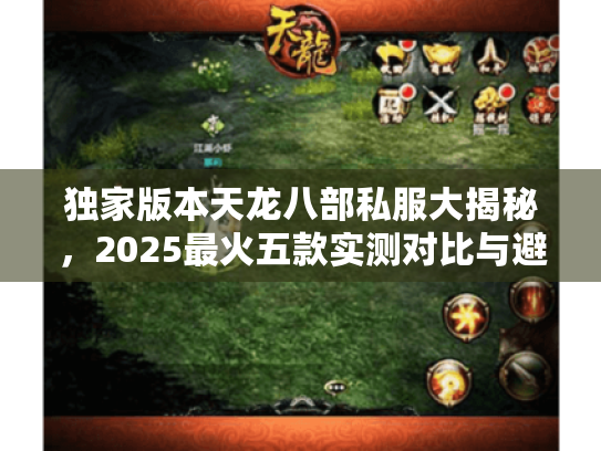 独家版本天龙八部私服大揭秘,2025最火五款实测对比与避坑指南 独家版本天龙八部私服大揭秘,2025最火五款实测对比与避坑指南