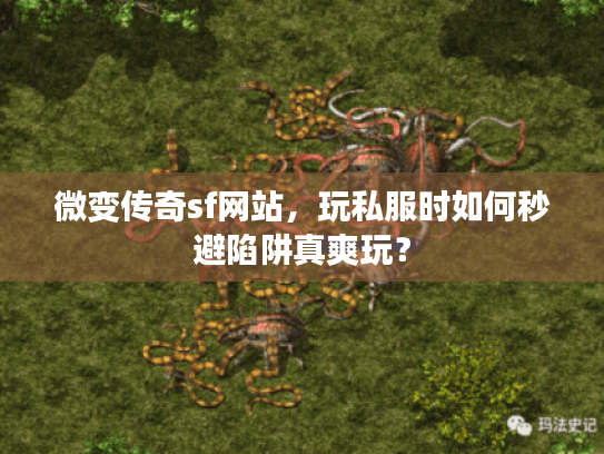 微变传奇sf网站，玩私服时如何秒避陷阱真爽玩？