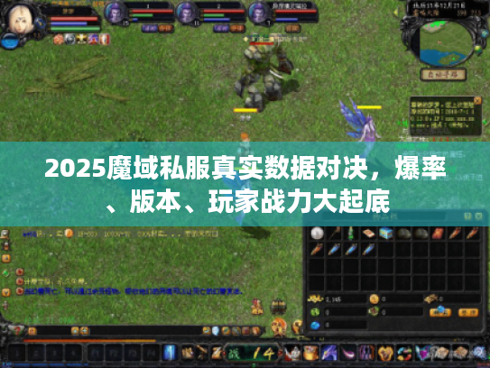2025魔域私服真实数据对决,爆率、版本、玩家战力大起底 2025魔域私服真实数据对决,爆率、版本、玩家战力大起底