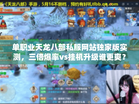 单职业天龙八部私服网站独家版实测，三倍爆率vs挂机升级谁更爽？