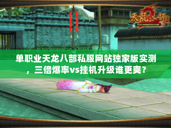 单职业天龙八部私服网站独家版实测，三倍爆率vs挂机升级谁更爽？