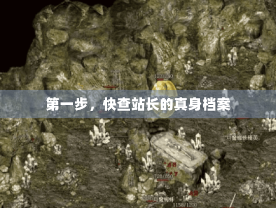 第一步,快查站长的真身档案 第一步,快查站长的真身档案