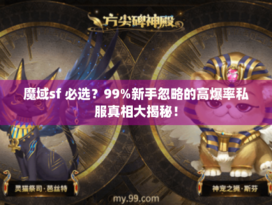 魔域sf 必选？99%新手忽略的高爆率私服真相大揭秘！
