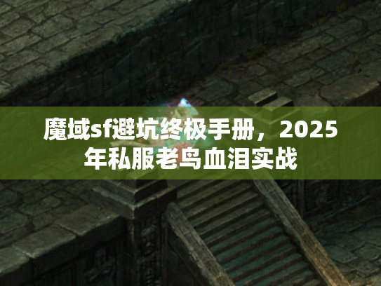 魔域sf避坑终极手册,2025年私服老鸟血泪实战 魔域sf避坑终极手册,2025年私服老鸟血泪实战