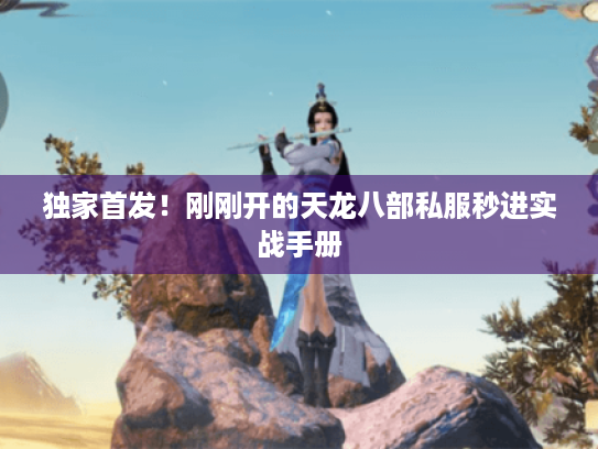 独家首发!刚刚开的天龙八部私服秒进实战手册 独家首发!刚刚开的天龙八部私服秒进实战手册